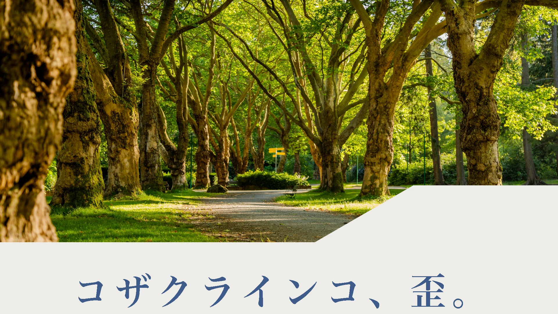 コザクラインコ、歪。