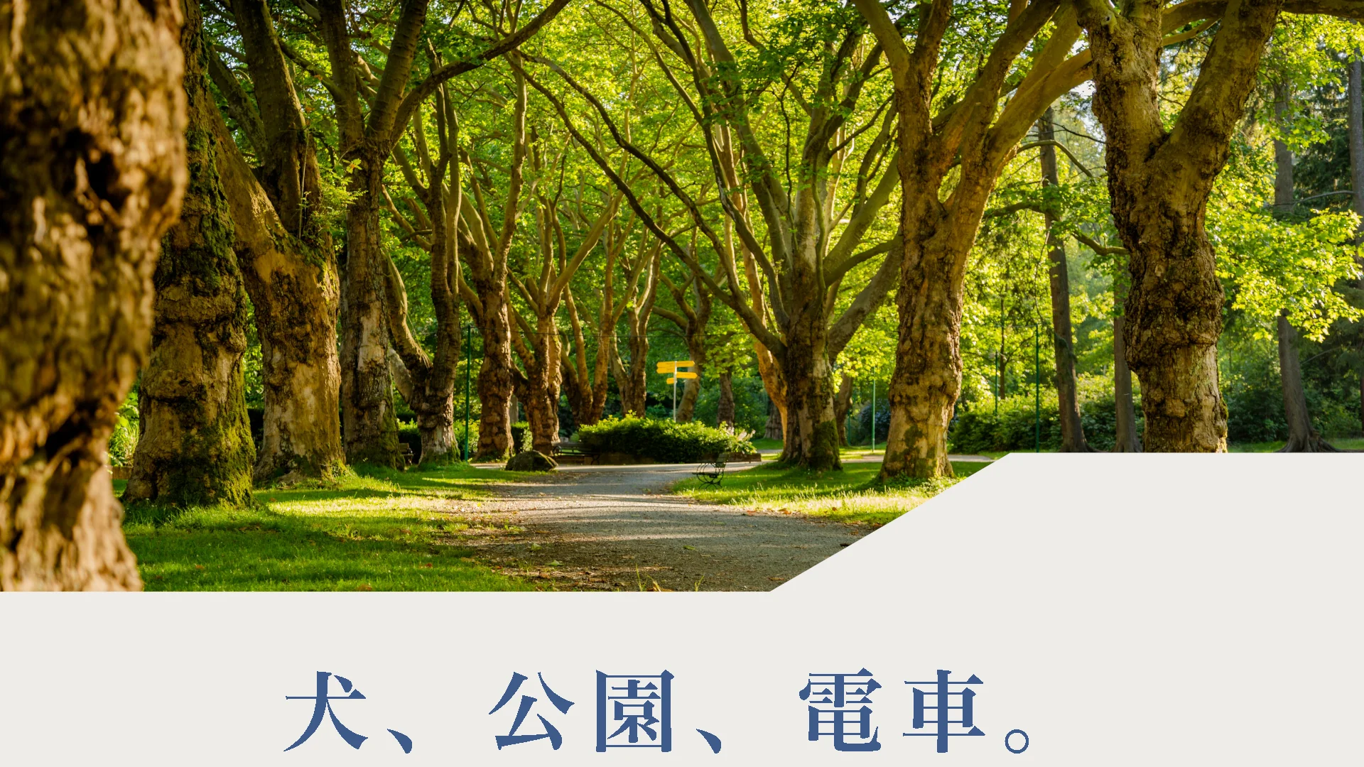 犬、公園、電車。