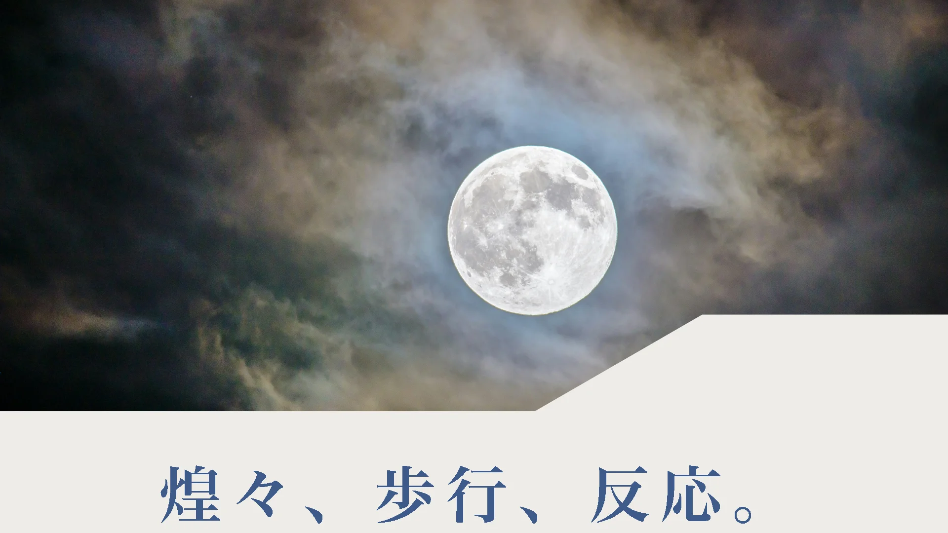 煌々、歩行、反応。